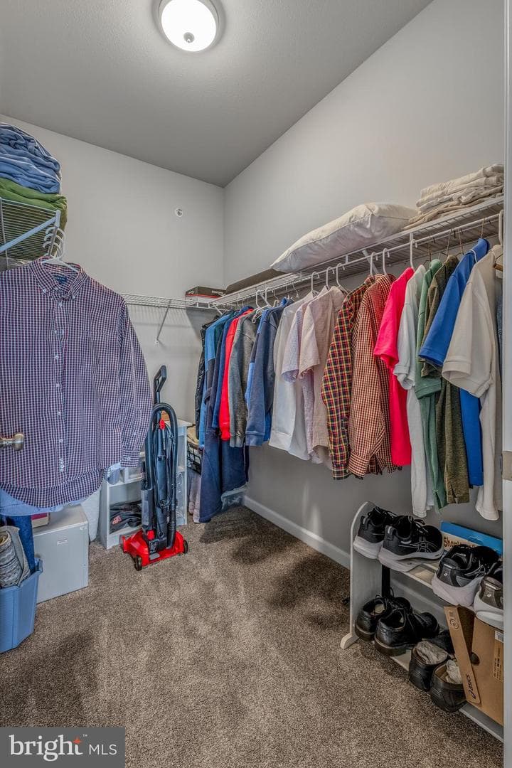 155 Bilberry Circle photo 26