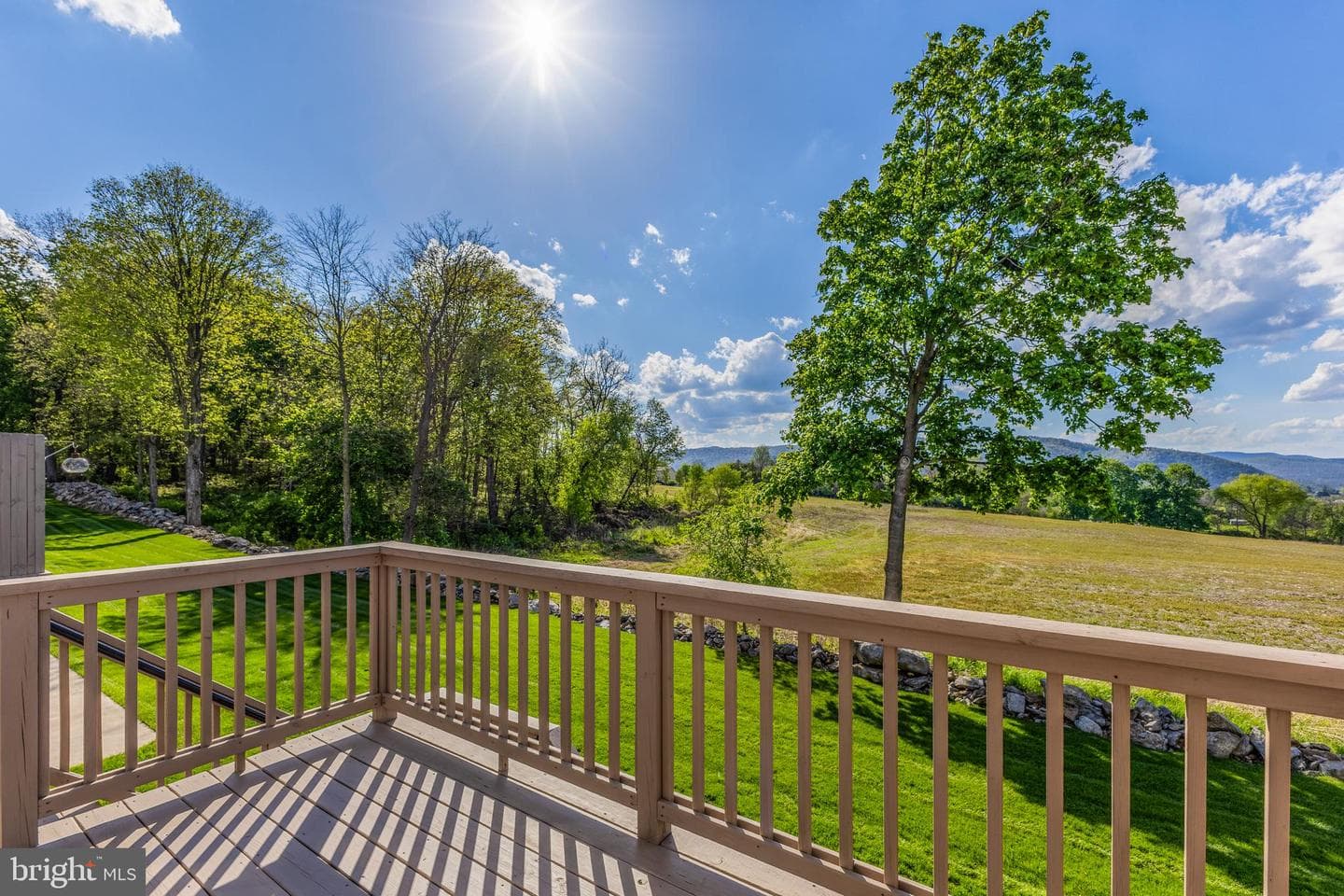 155 Bilberry Circle photo 32