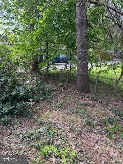 205 Adams Street photo 3