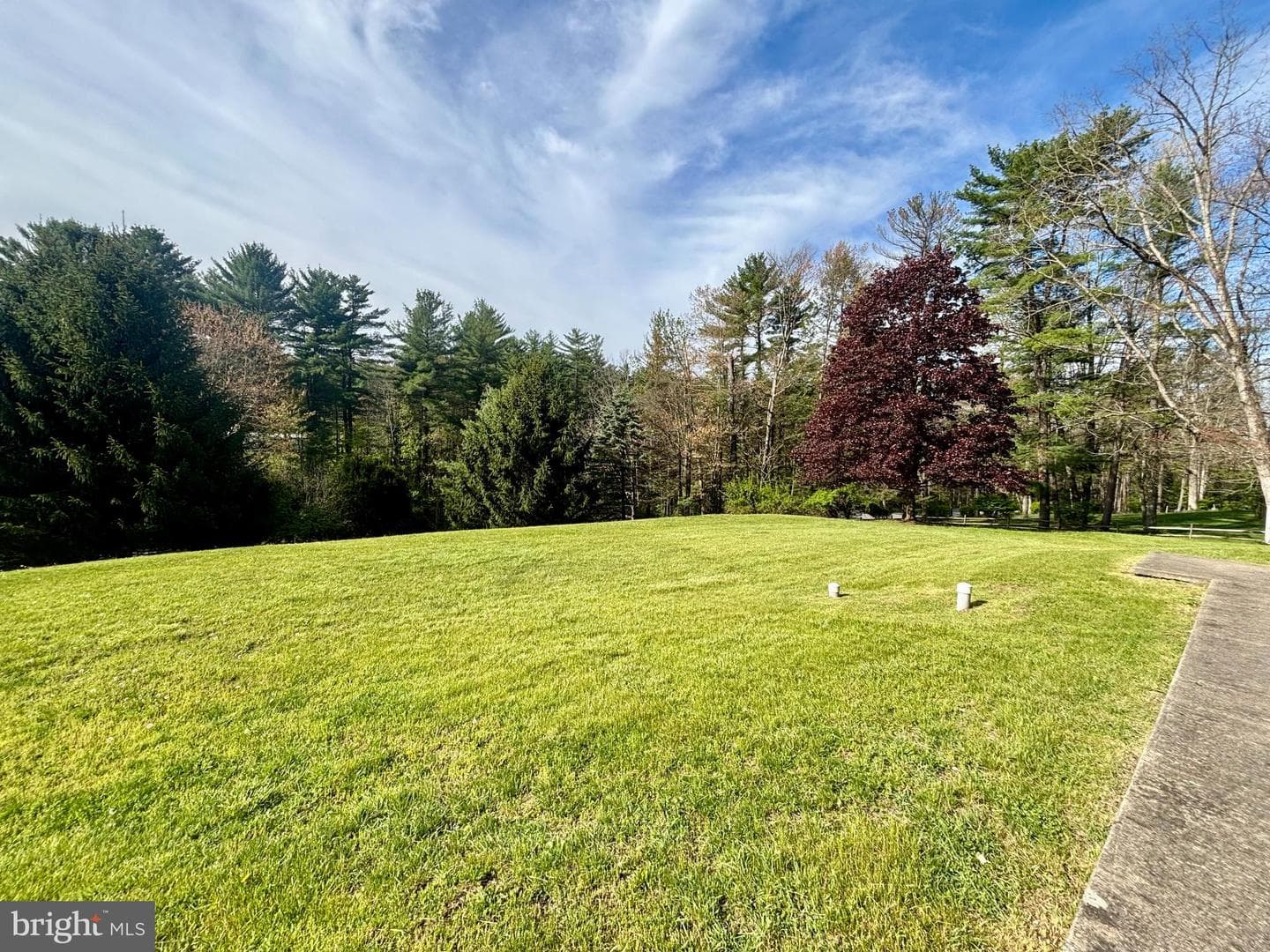 675 Elm Road photo 4