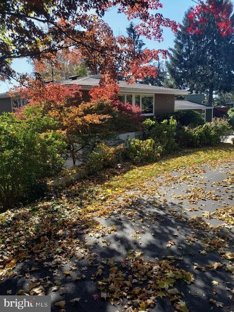 942 Robin Road photo 103