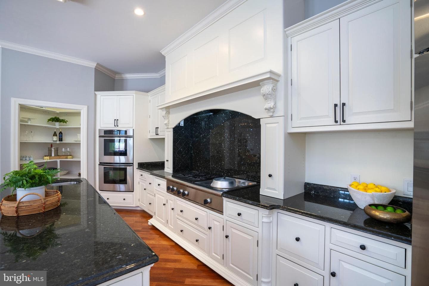 220 Mt Pleasant Drive photo 24