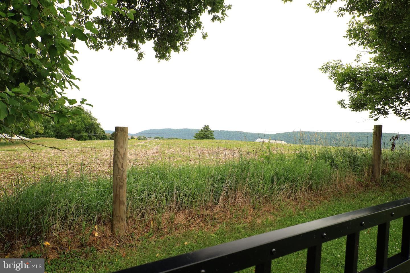 195 Mountain Laurel Dr photo 89