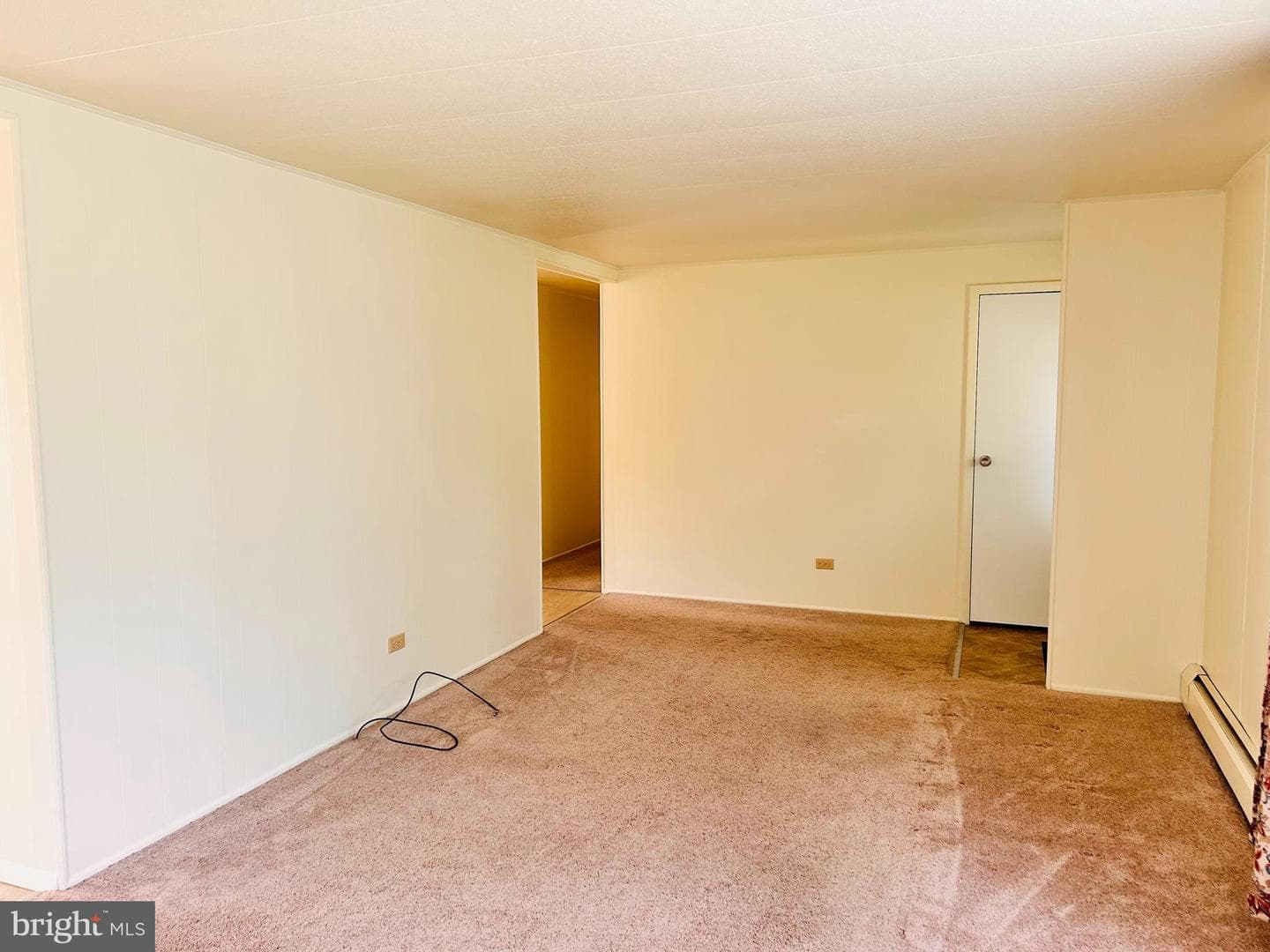 301 E Race Street photo 22
