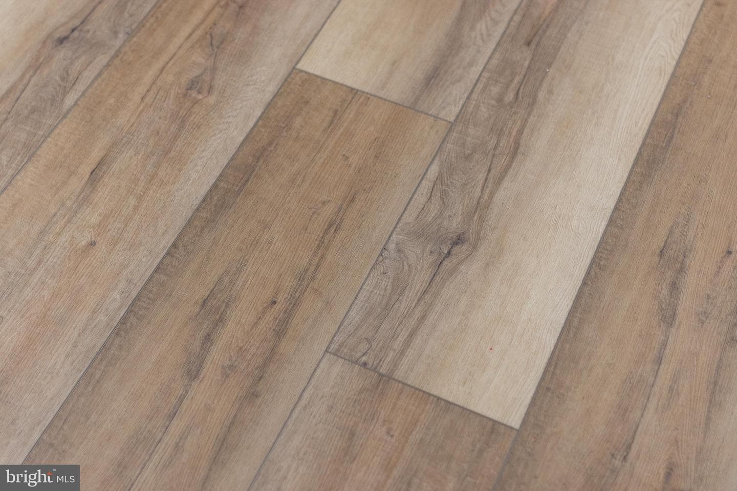158 Jay Lane photo 10