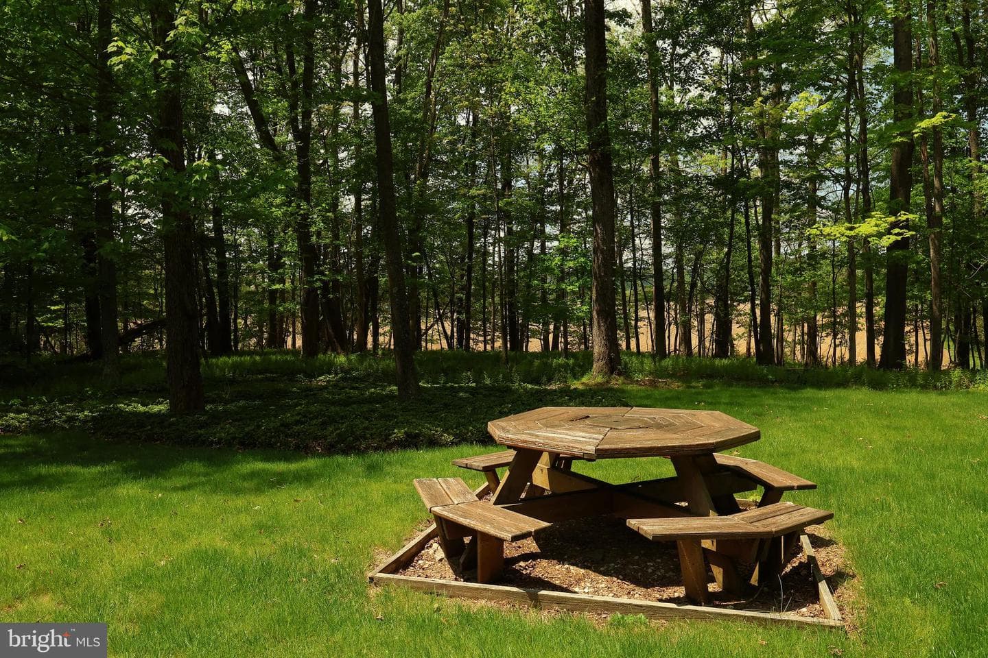 34 Brown Circle photo 46
