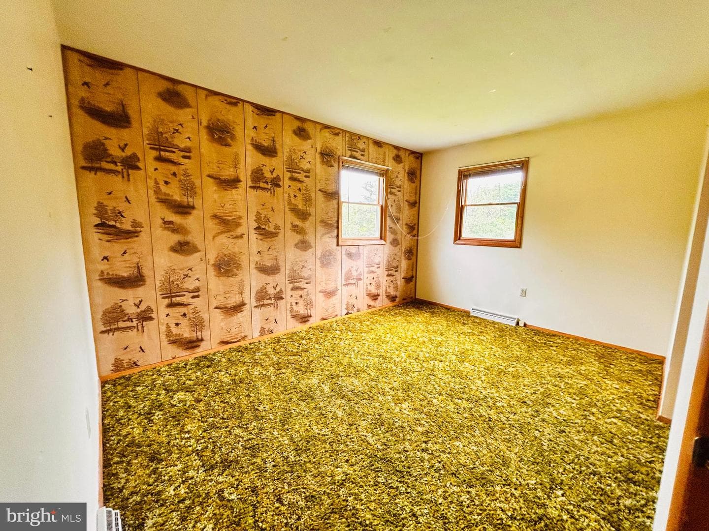 215 Brown Avenue photo 18