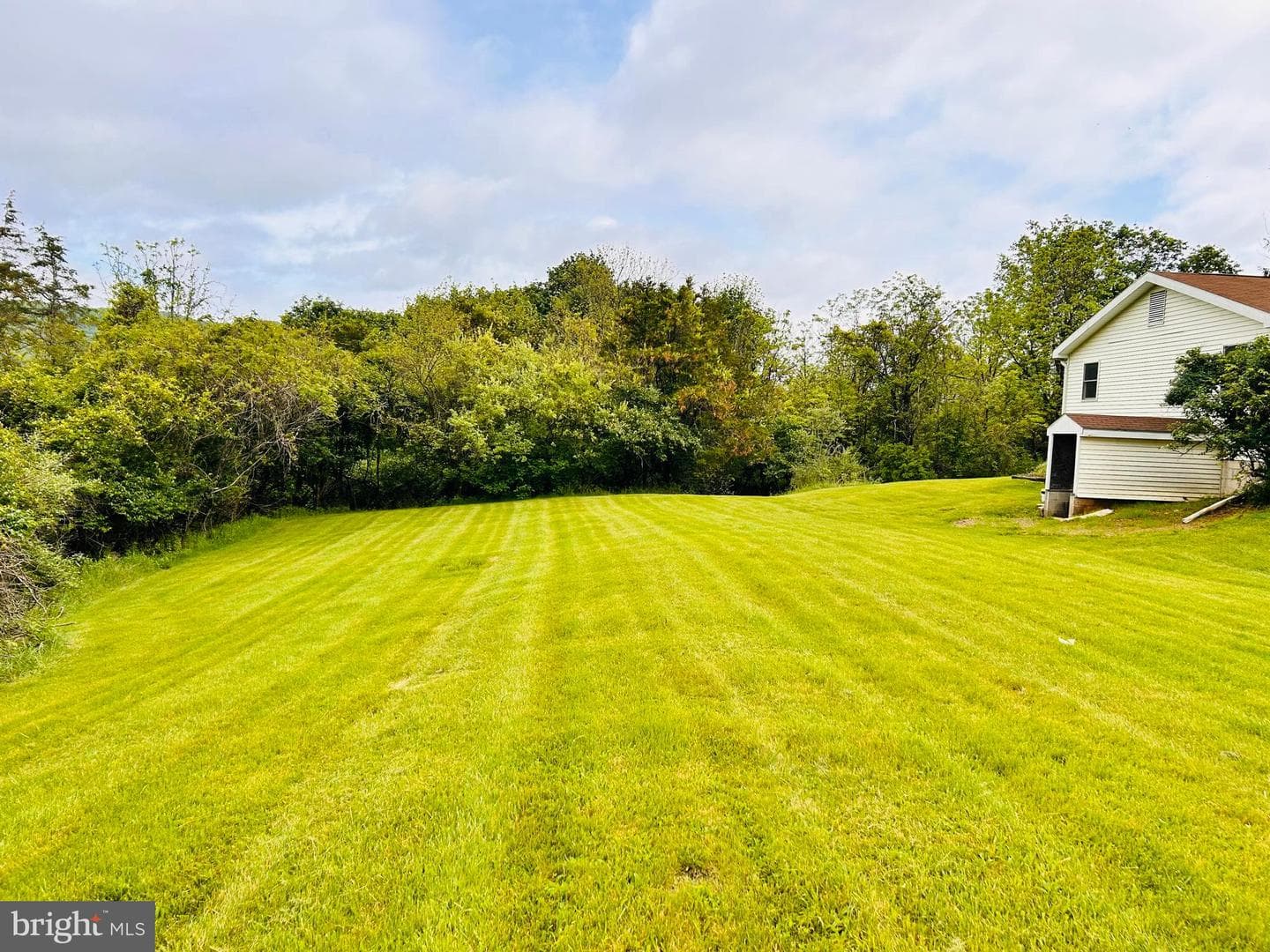 215 Brown Avenue photo 5
