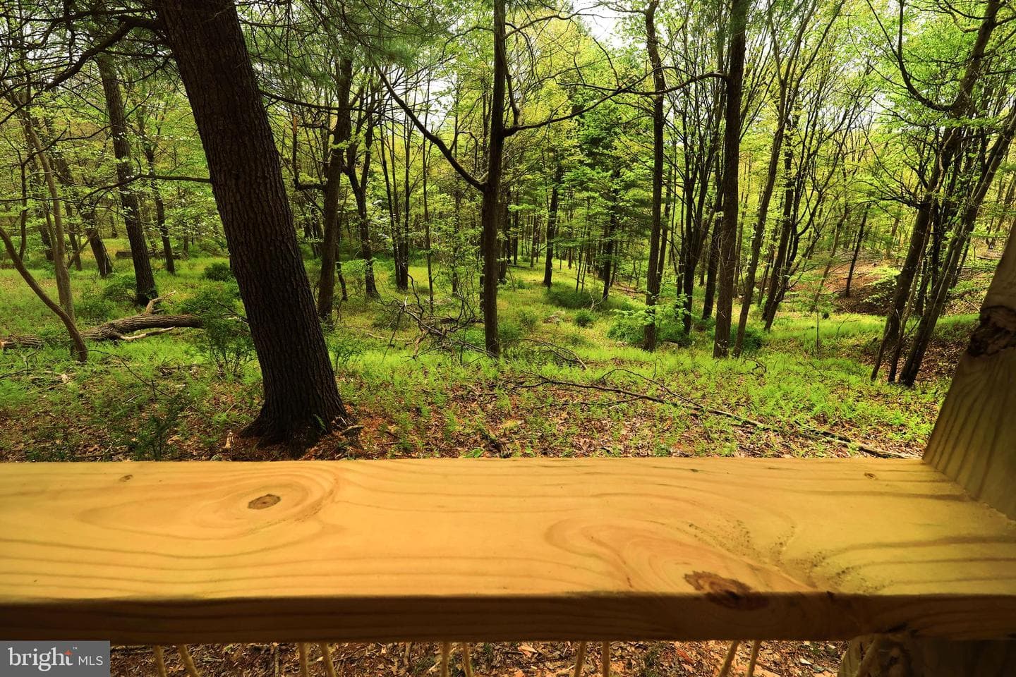 Lot 2 Jacobs Way photo 42
