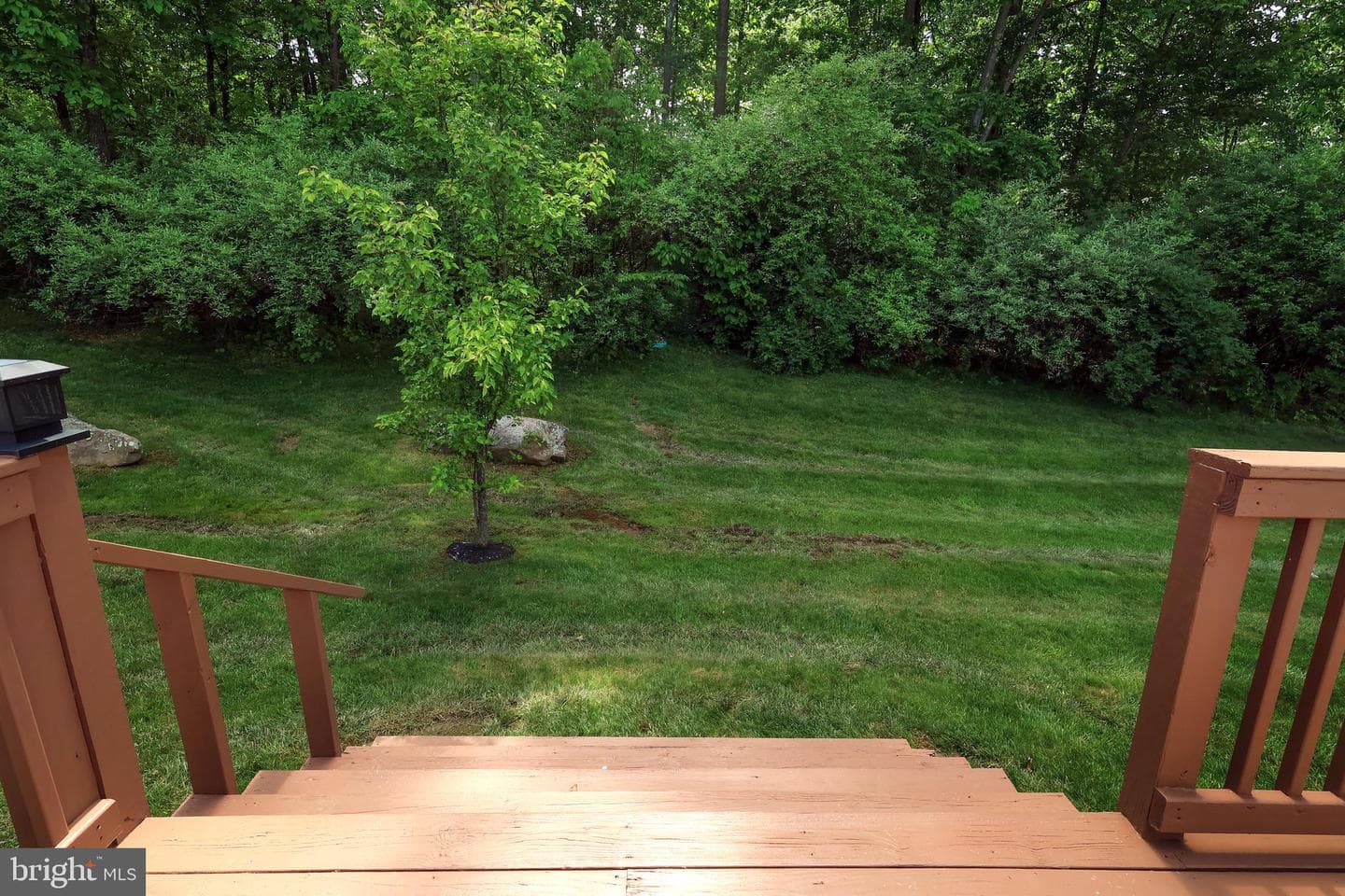 251 Timberwood Trail photo 51