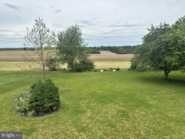 161 Sunday Drive photo 4