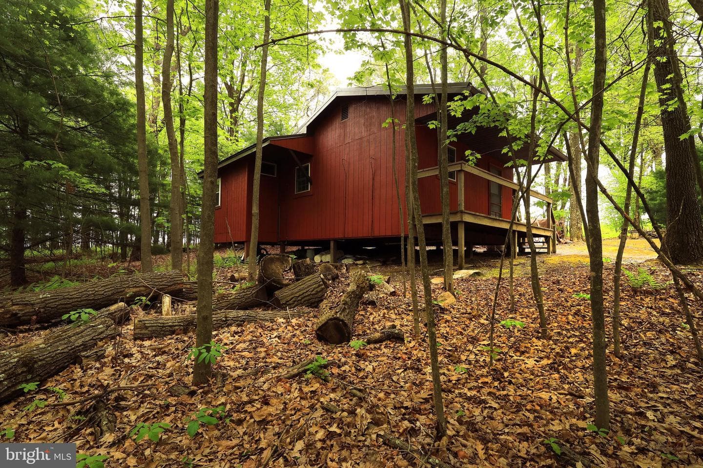 299 Snow Shoe Mountain Forest Road, Snow Shoe