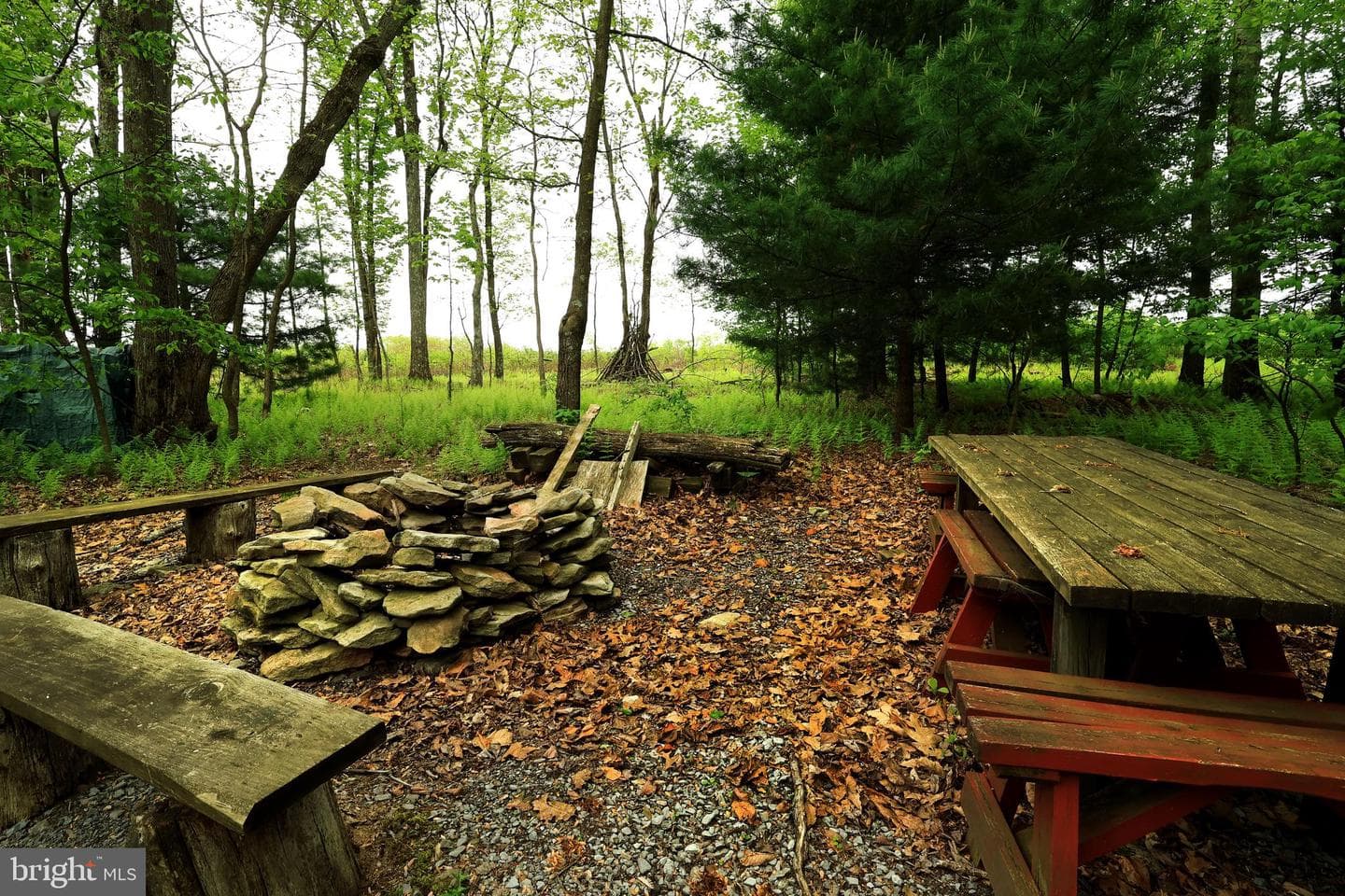 299 Snow Shoe Mountain Forest Road photo 22