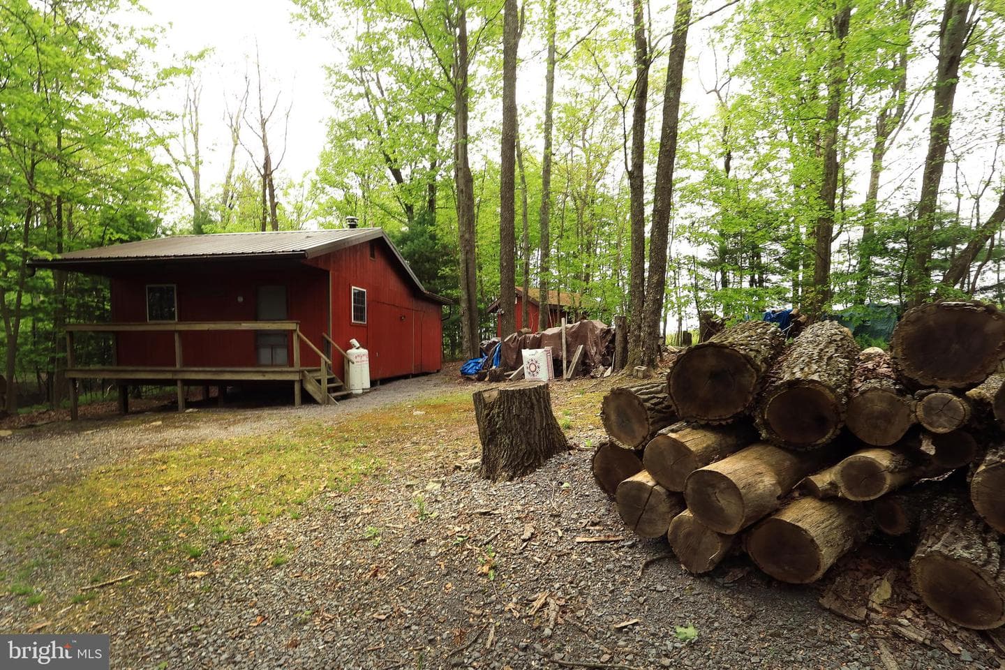 299 Snow Shoe Mountain Forest Road photo 27