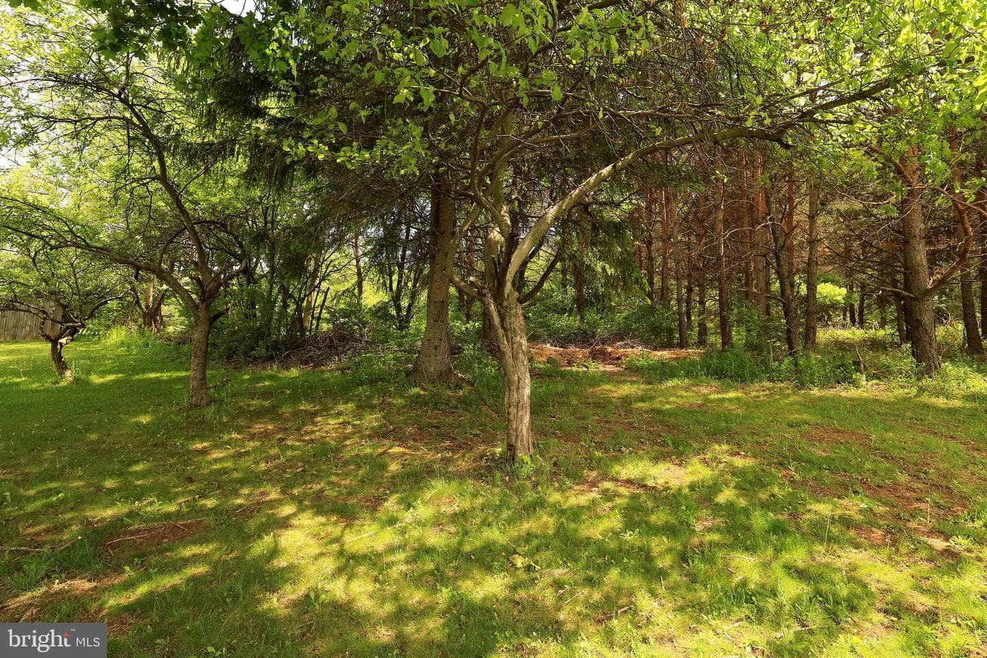 128 Greens Valley Road photo 29