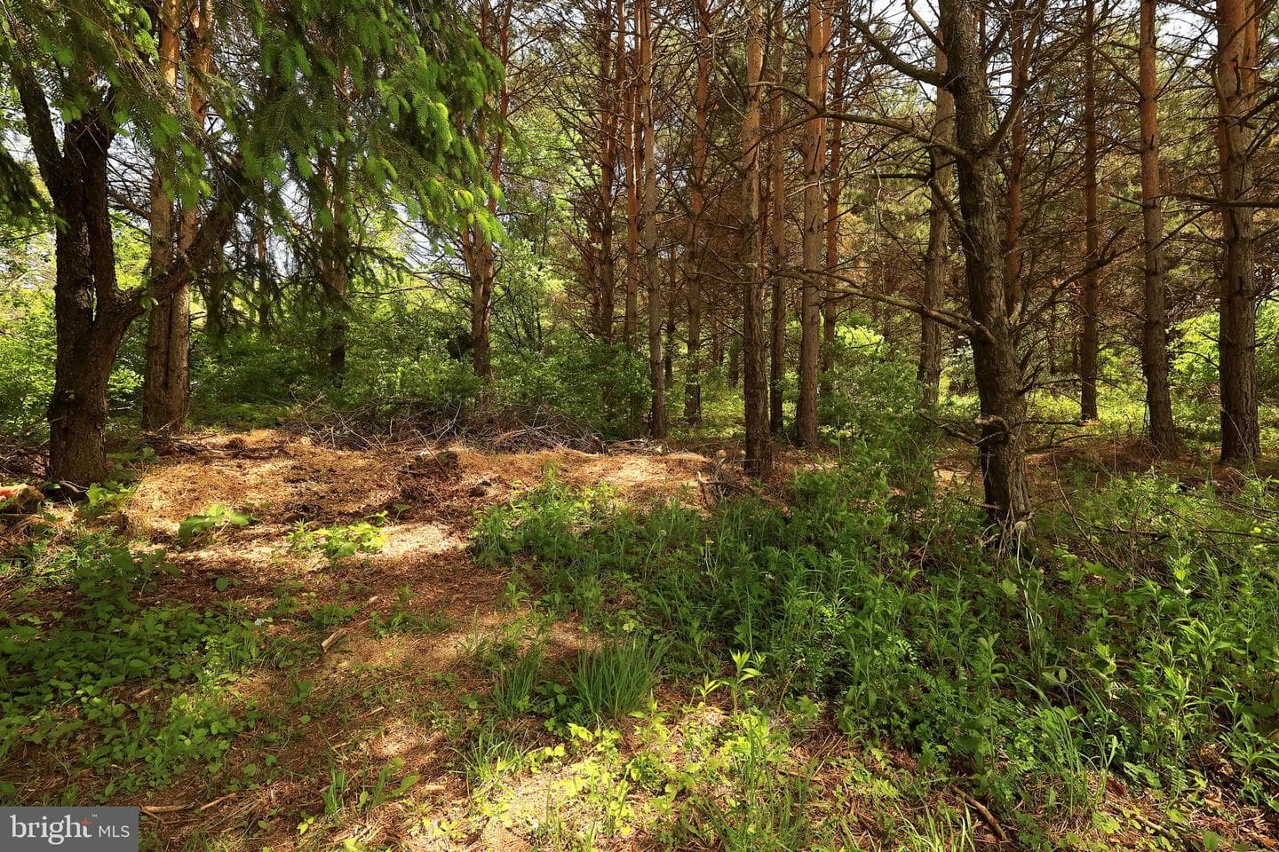 128 Greens Valley Road photo 31