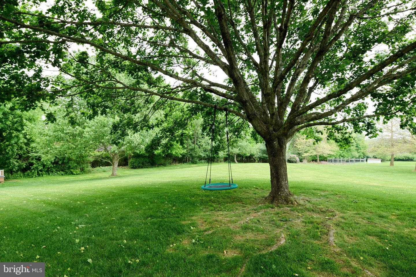 90 Darrich Court photo 42