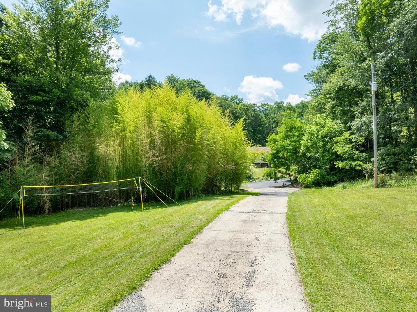 1425 Steele Hollow Road photo 6