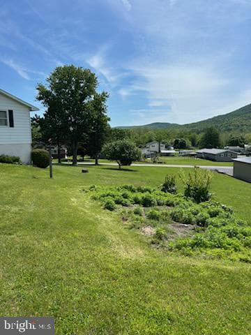 151 Summer Mac Road photo 47