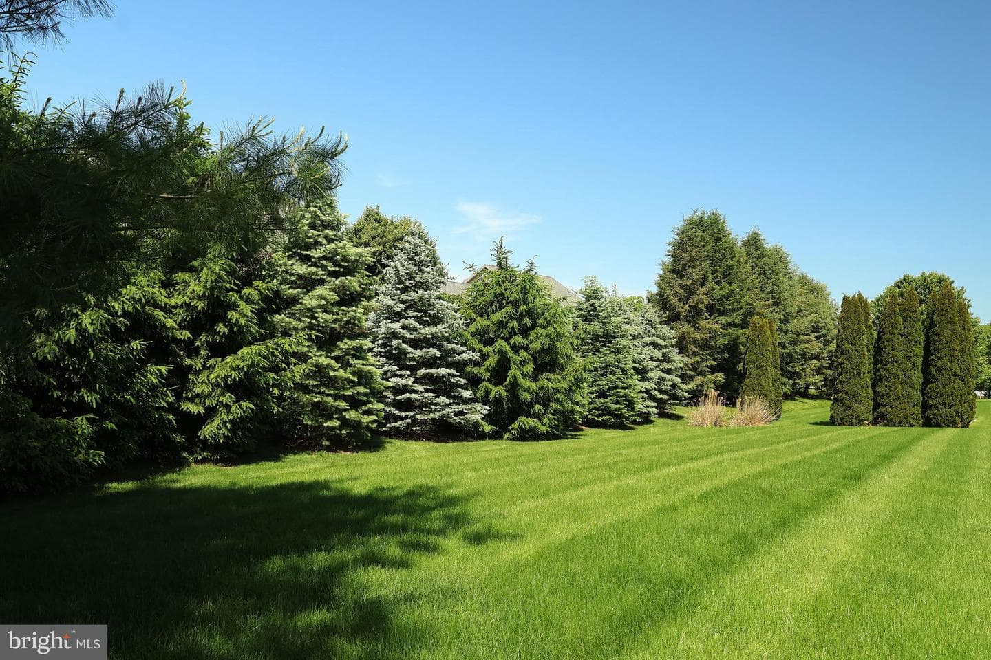 1252 Barnstable Lane photo 67