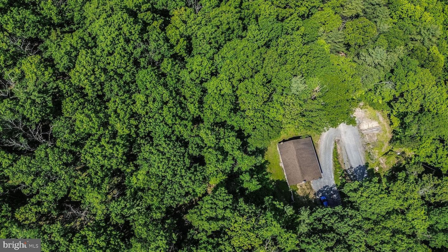 353 Jack Straw Road photo 37