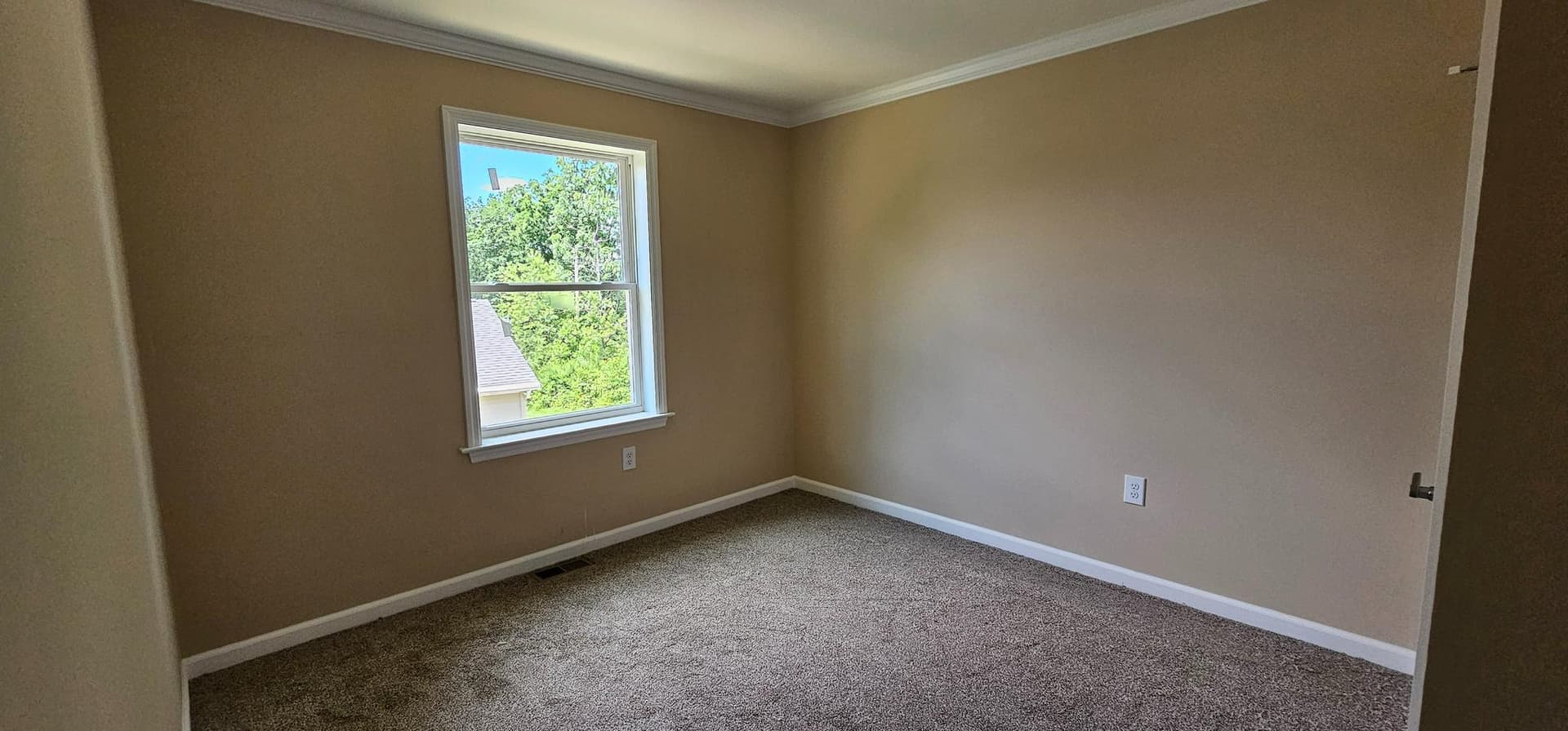 161 Timberwood Trail photo 18
