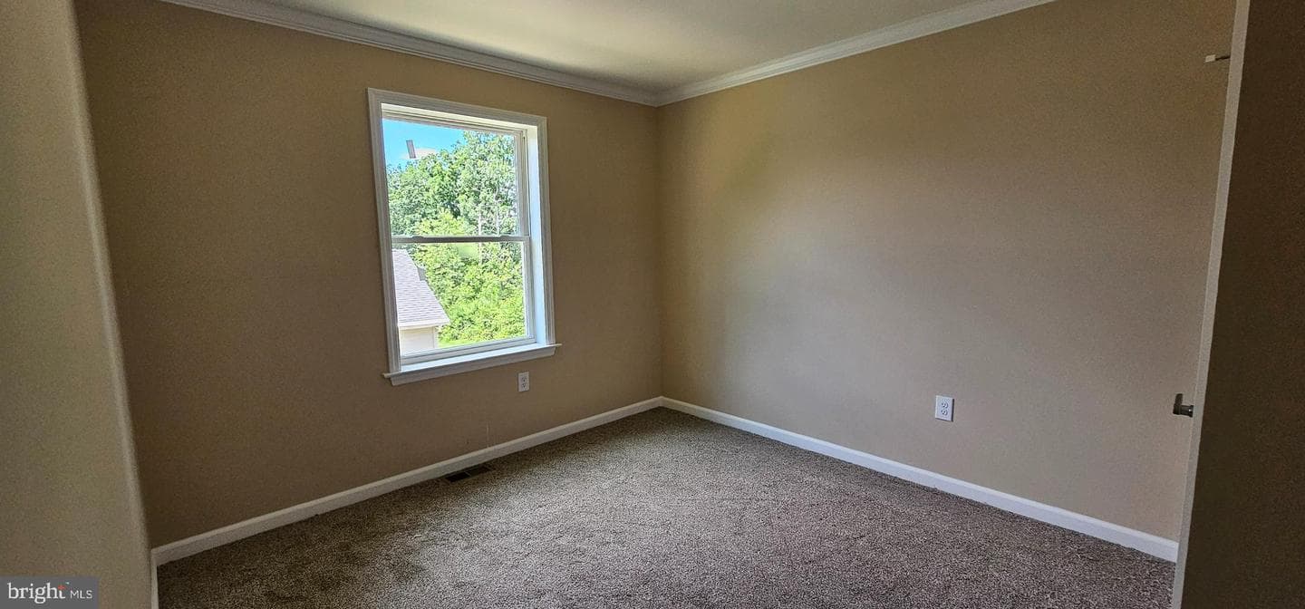 161 Timberwood Trail photo 20
