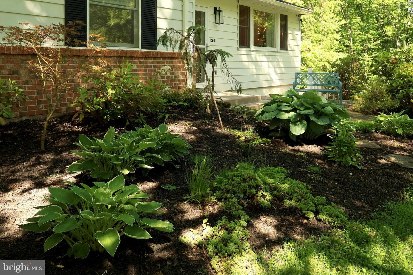 224 Oakley Drive photo 50