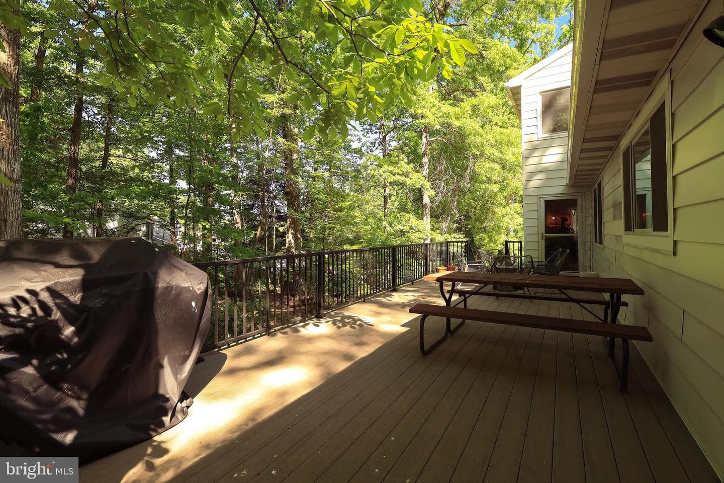 224 Oakley Drive photo 56