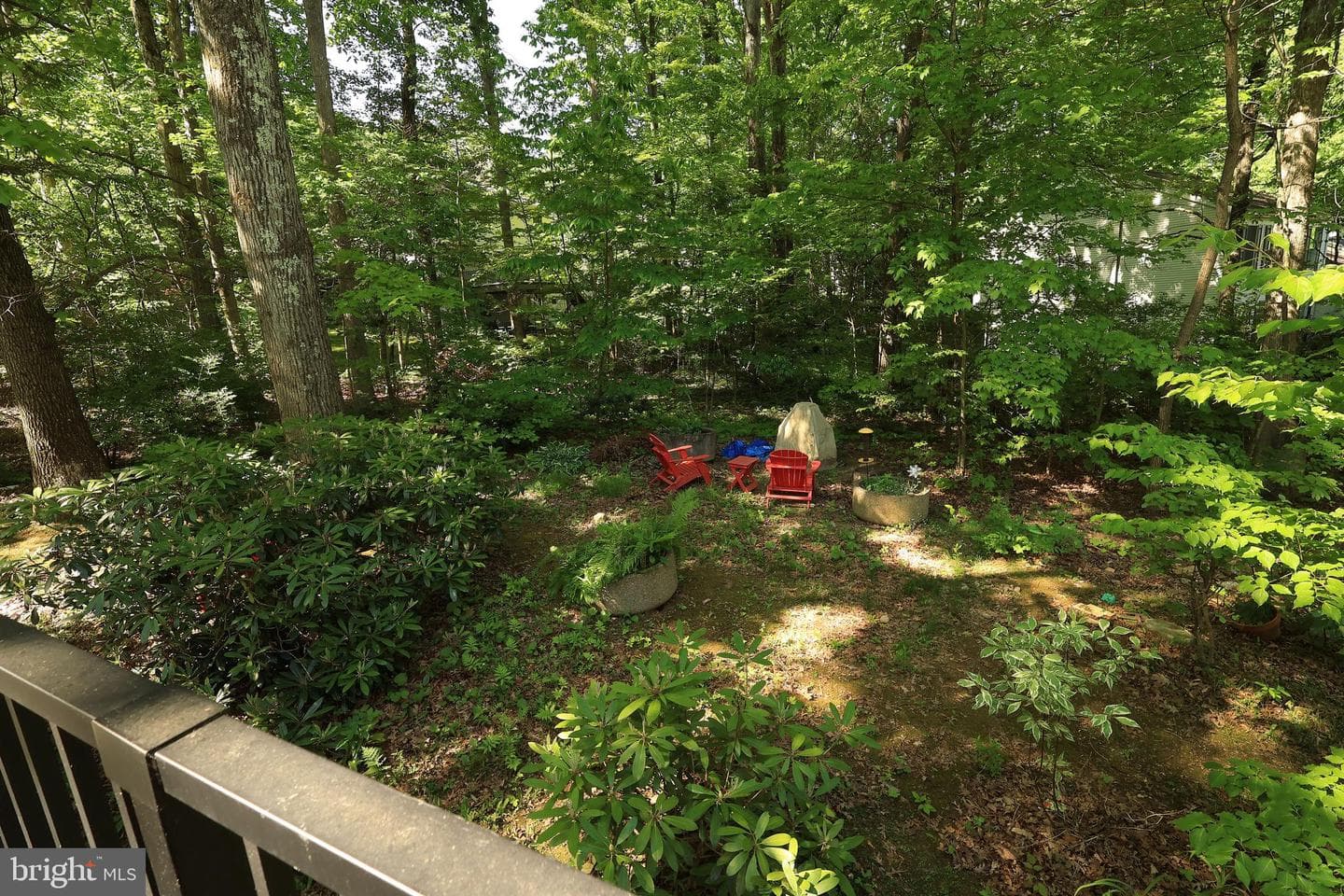 224 Oakley Drive photo 59