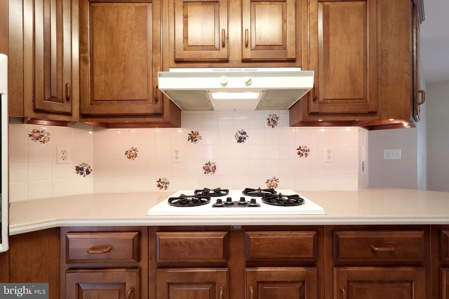 1110 E Springfield Drive photo 18