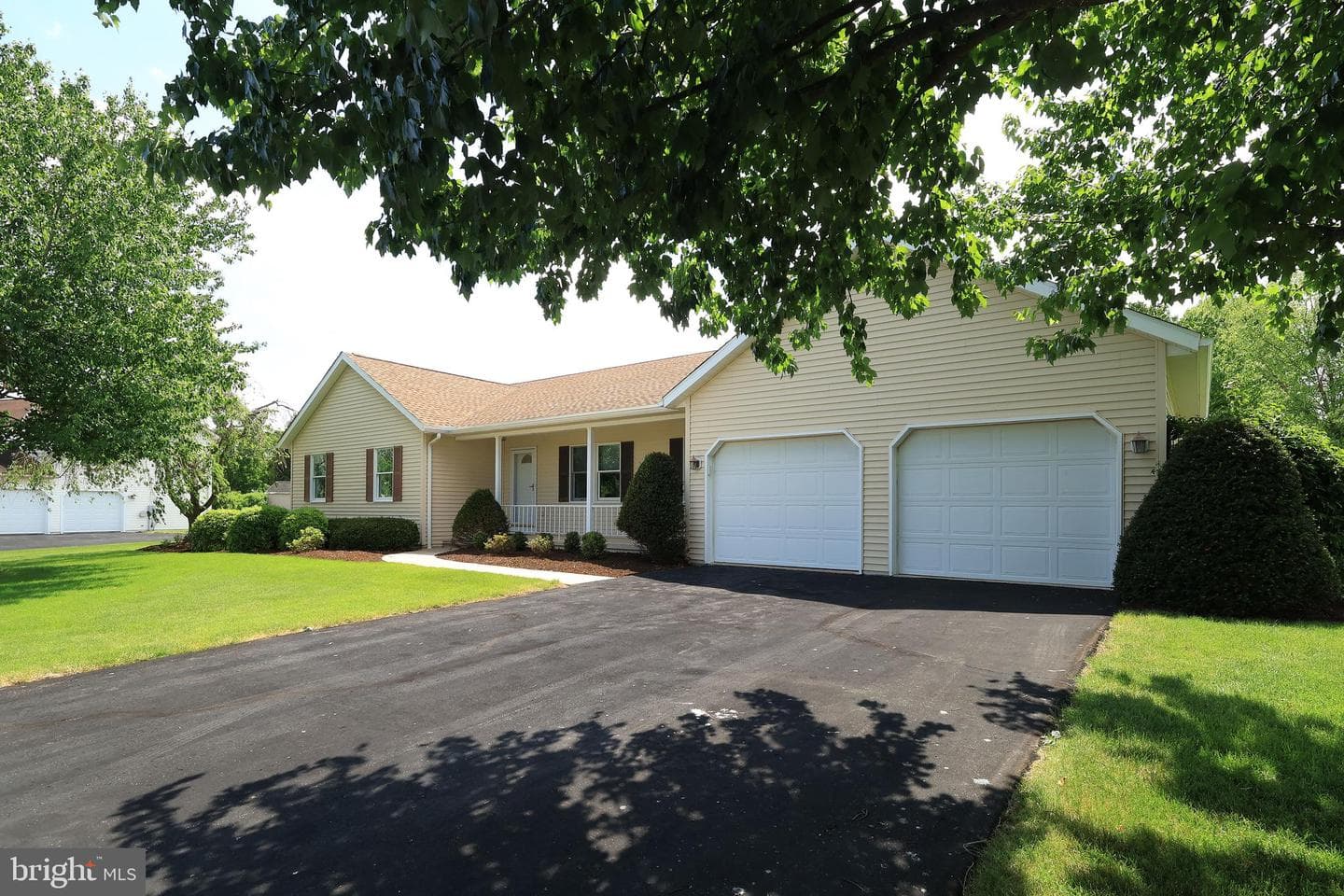 1110 E Springfield Drive photo 2