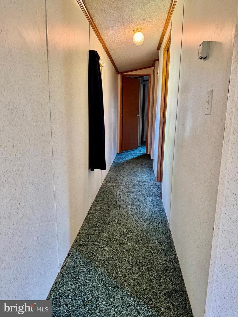 178 Ash Circle photo 12