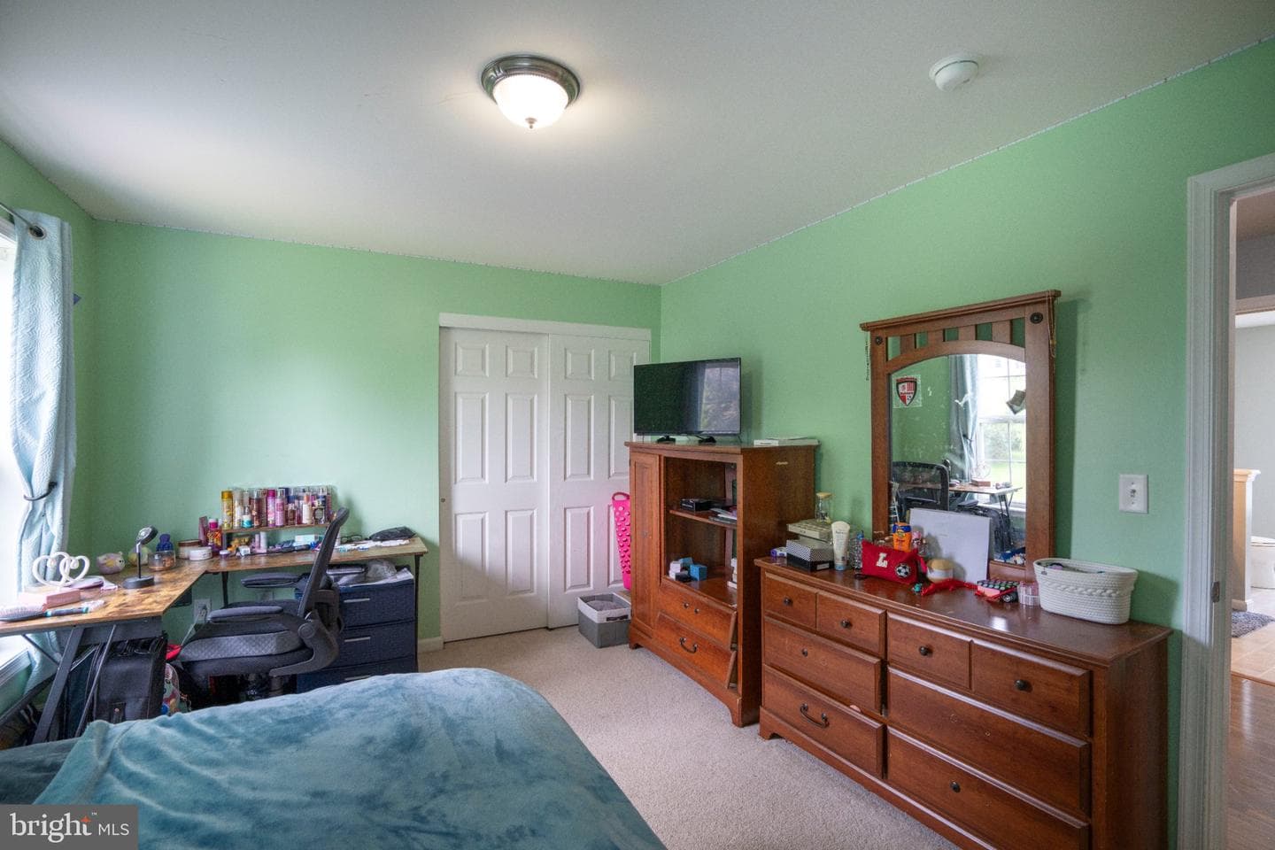 217 Washington Avenue photo 25