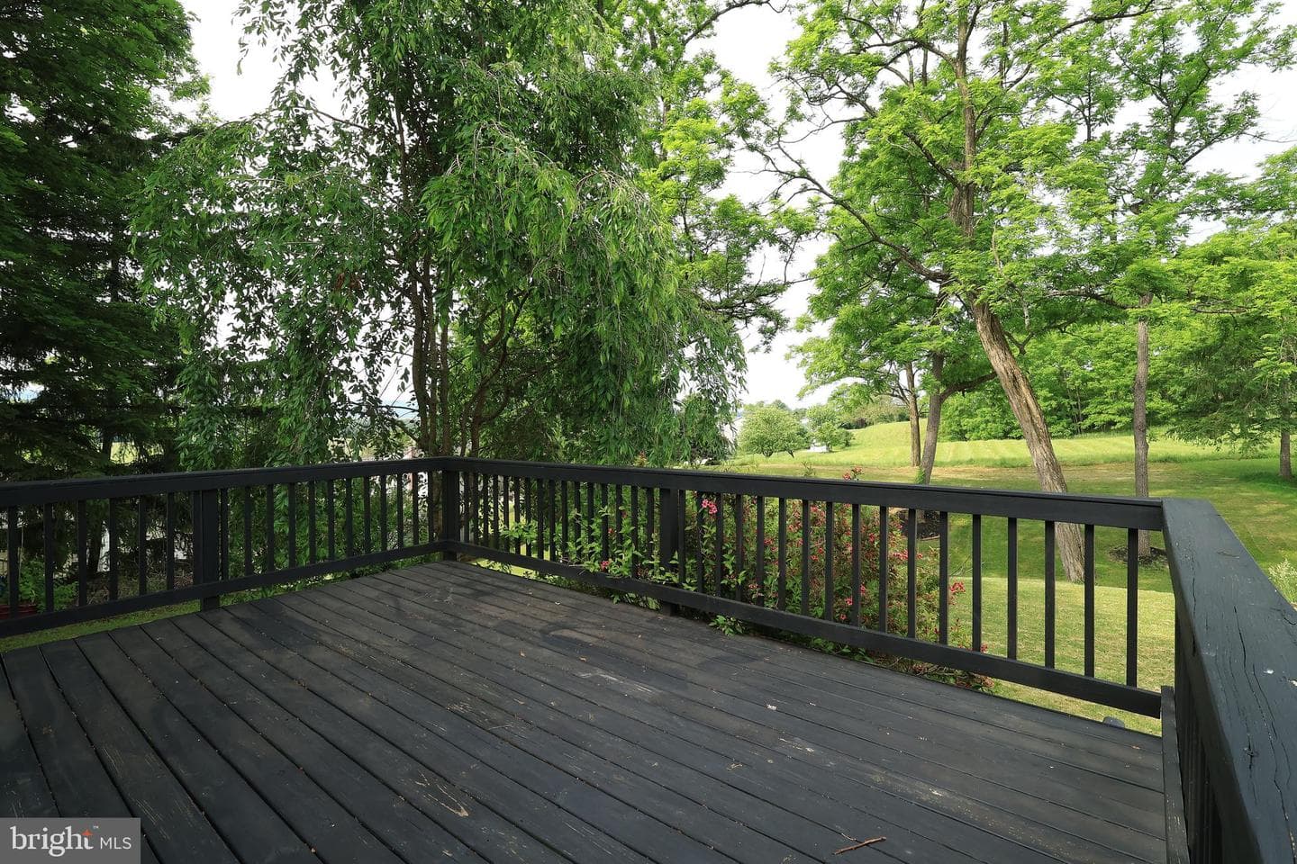 125 Lyonstown Road photo 27