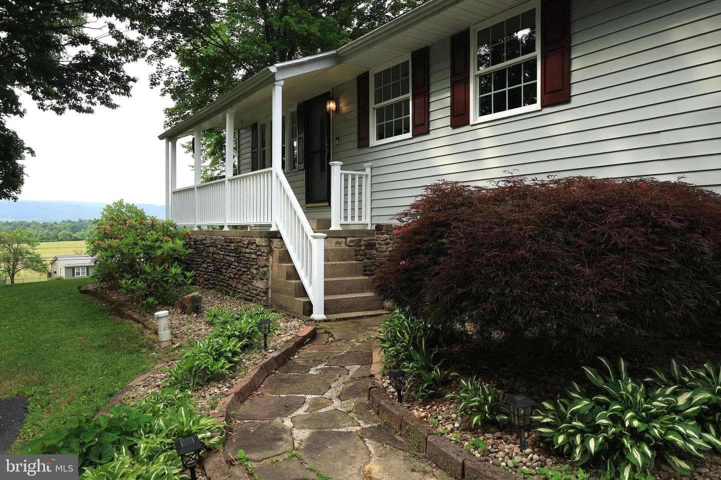 125 Lyonstown Road photo 5