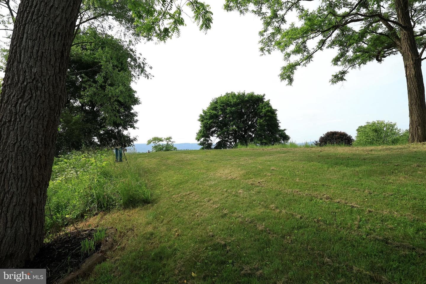 125 Lyonstown Road photo 60