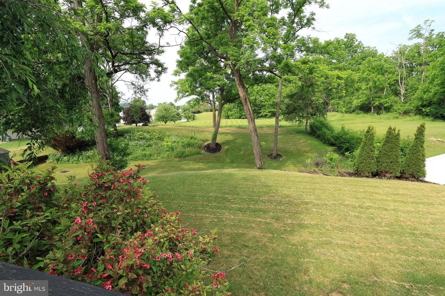 125 Lyonstown Road photo 67