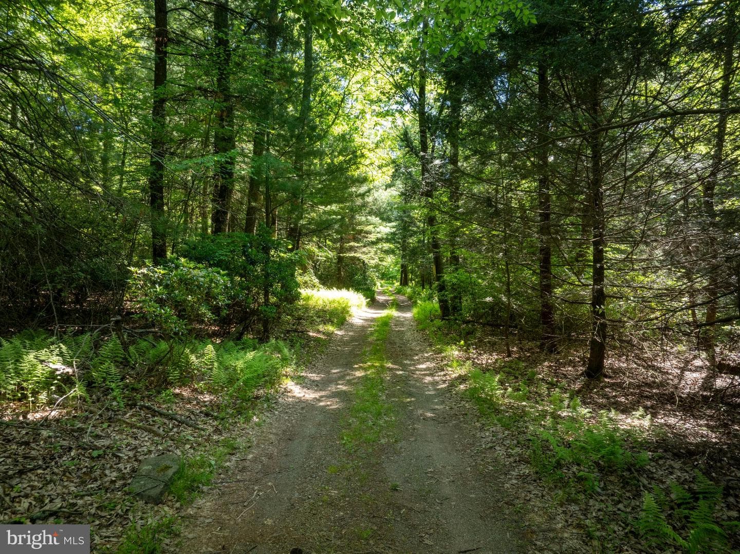 385 Elk Creek Road, Aaronsburg