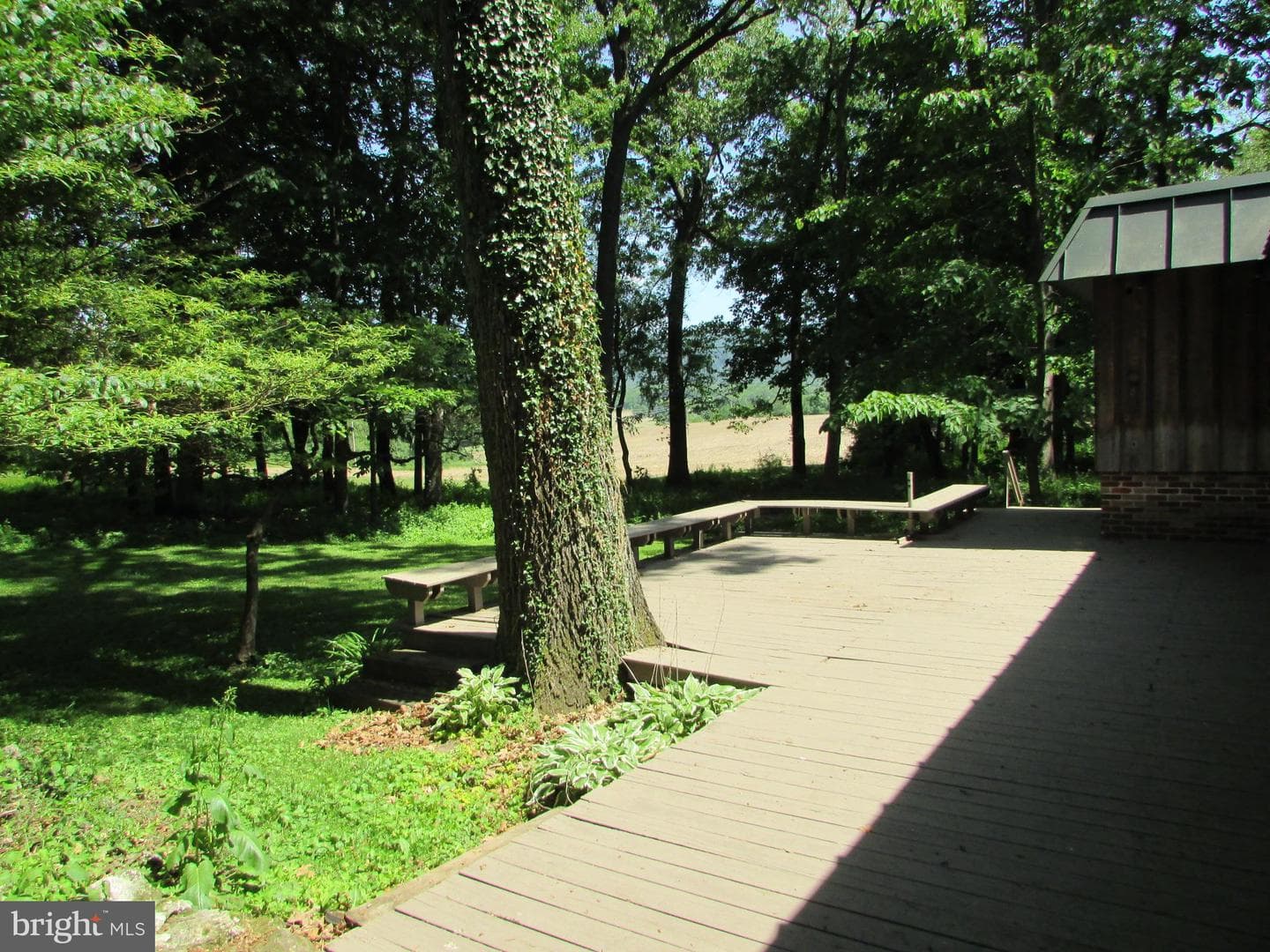 200 Tall Oaks Drive photo 4