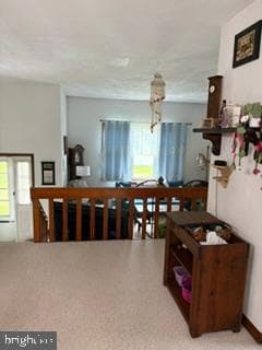 1219 Blue Spruce Drive photo 18