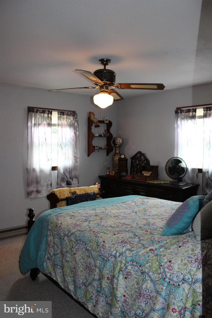 1219 Blue Spruce Drive photo 24
