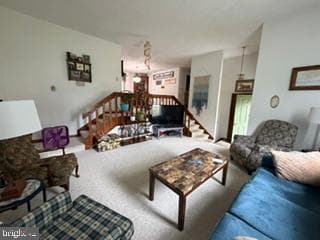 1219 Blue Spruce Drive photo 41