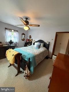 1219 Blue Spruce Drive photo 45