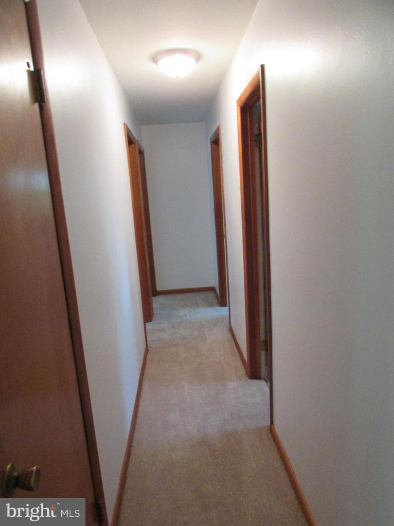 404 Beaverbrook Drive photo 25