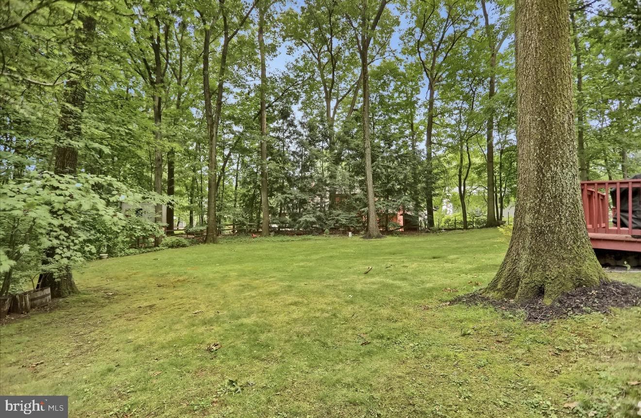 219 Morningside Circle photo 25