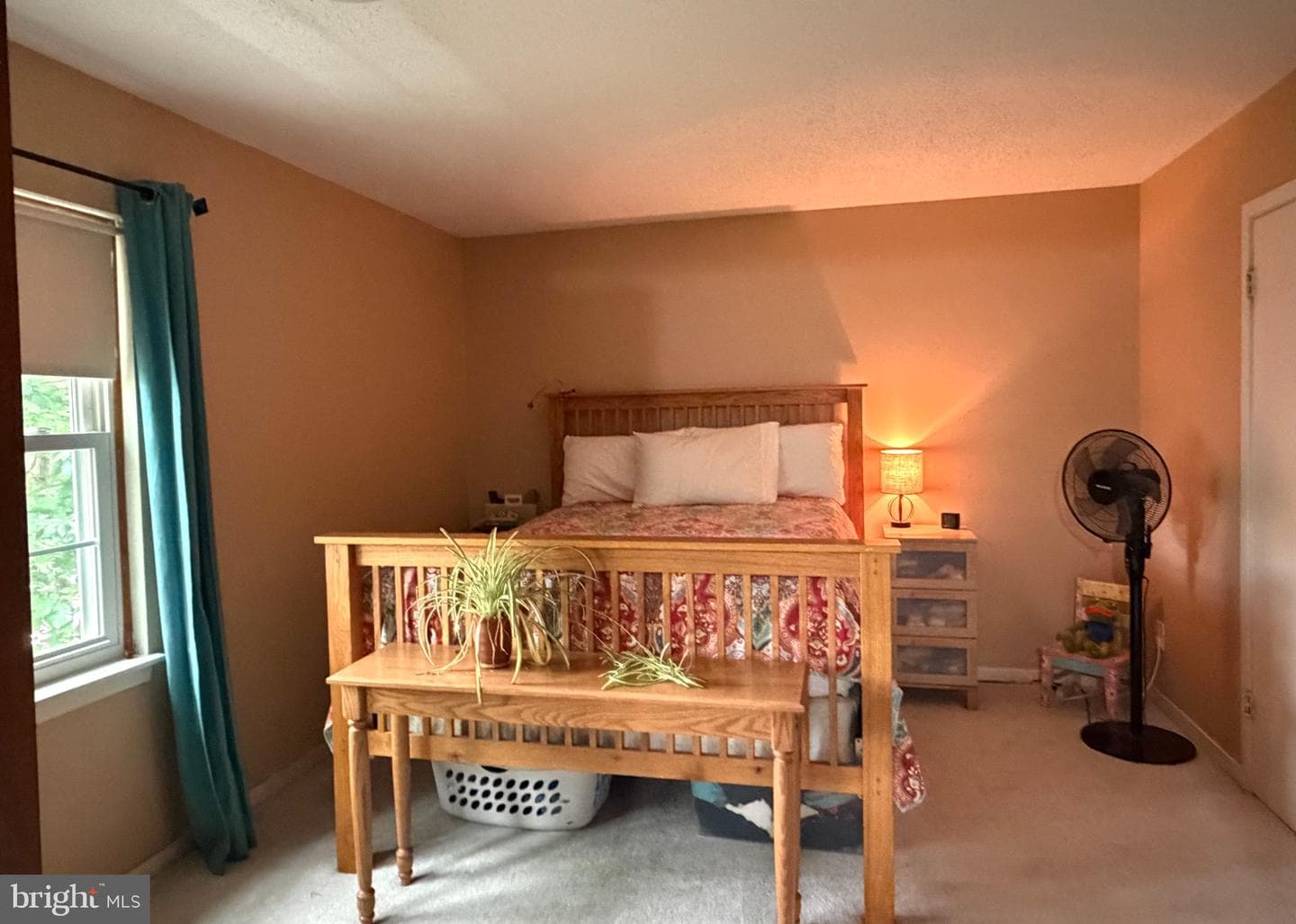 803 Galen Drive photo 21