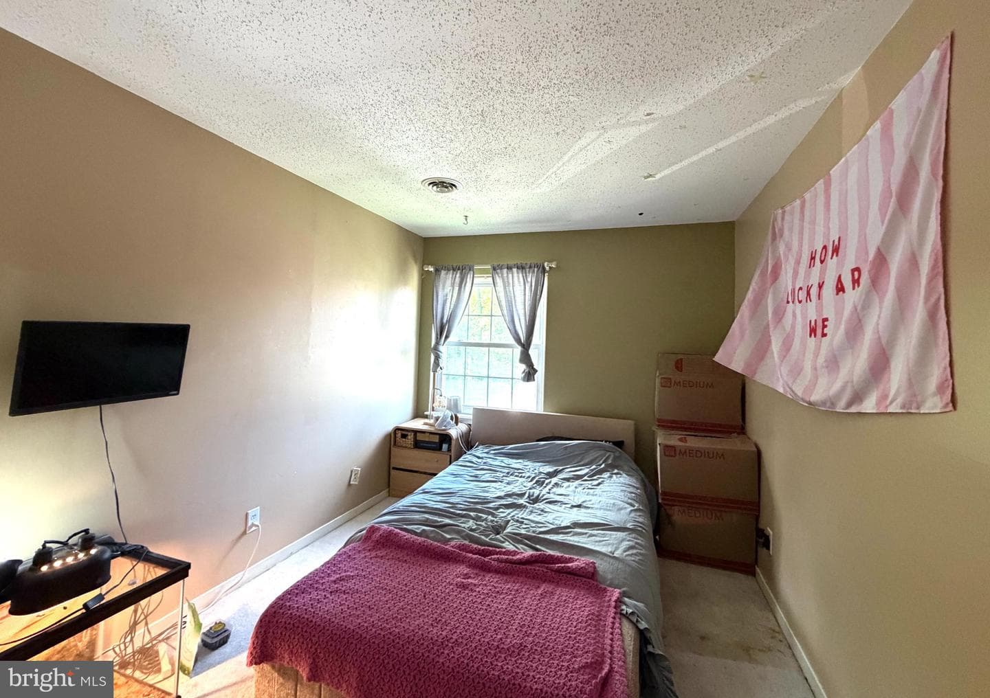803 Galen Drive photo 24