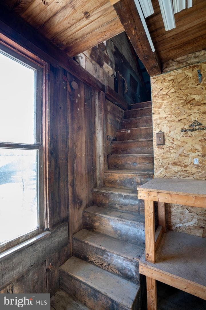 149 Cooper Street photo 52