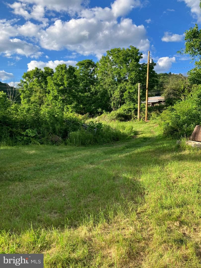 198 Gum Stump Road photo 8